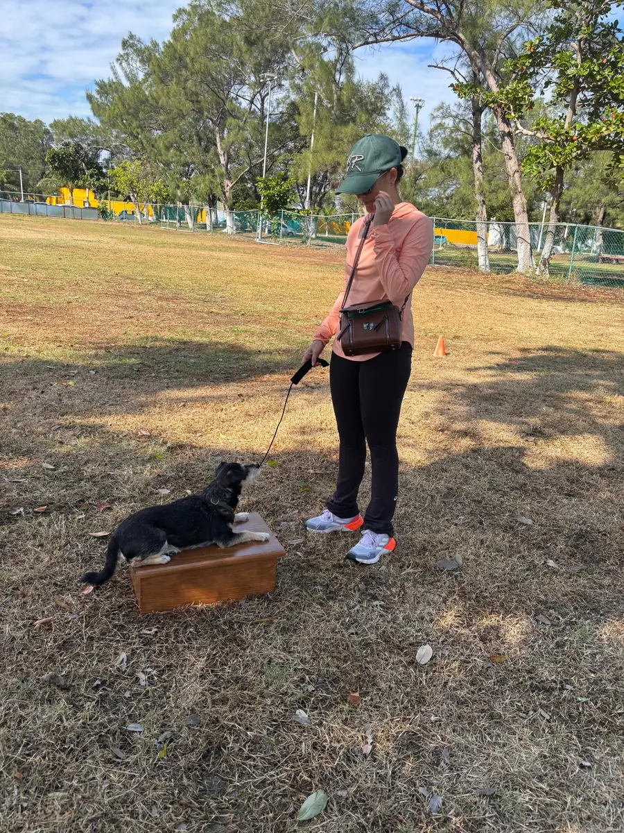 Propietaria entrenando a su perro con guía de Canis Major en un parque